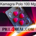 Kamagra Polo 100Mg 13